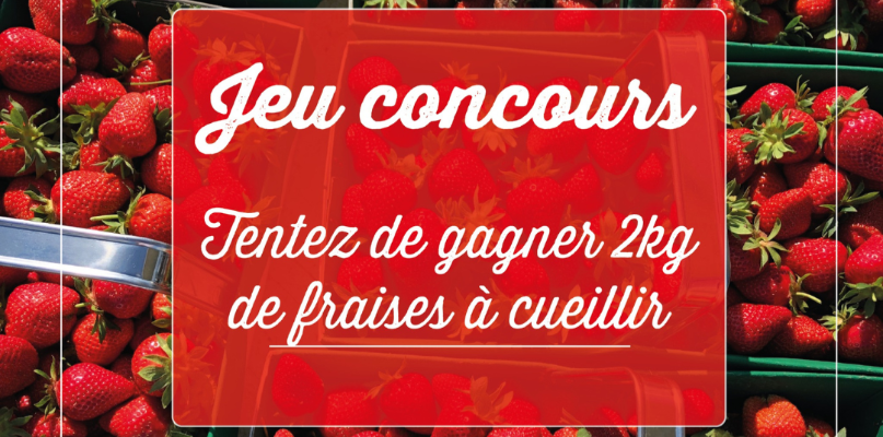 Jeu concours fraise